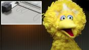 Big Bird Takes a Lie Detector Test