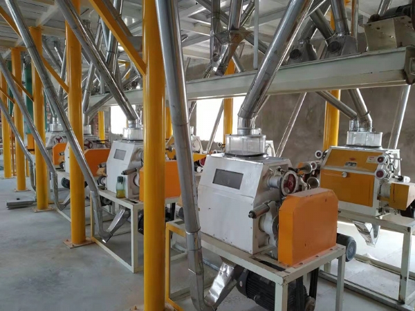 50噸位設(shè)備-大型面粉機成套設(shè)備