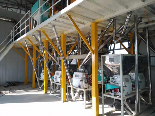 8臺磨平篩清粉機(jī)打包稱設(shè)備