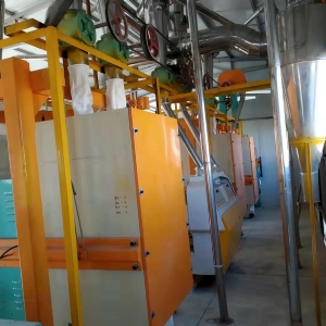 8臺磨平篩清粉機(jī)打包稱設(shè)備