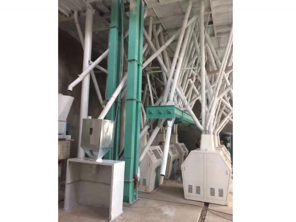 日產(chǎn)60噸面粉機(jī)