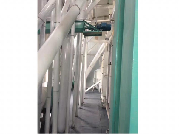 日產(chǎn)60噸面粉機(jī)