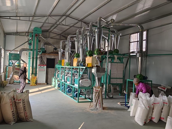 如何選擇合適的50噸面粉加工設備？鑫峰面粉機械小編告訴您